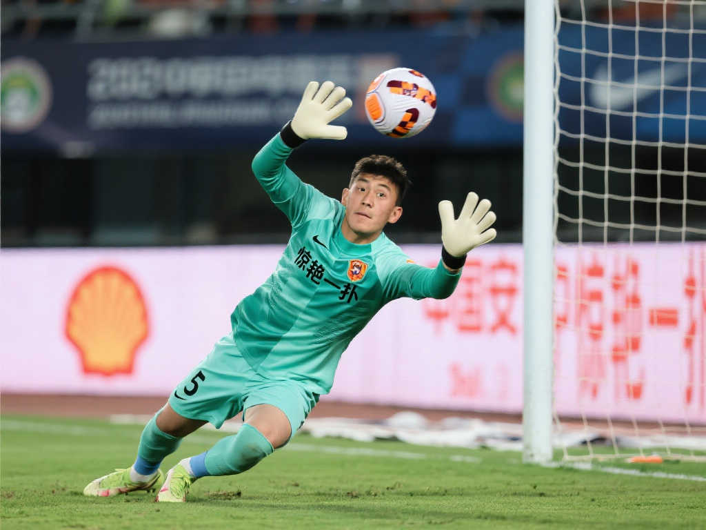 职业生涯的 职业生涯的