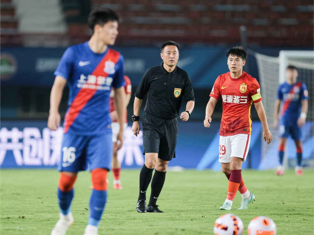 引入國內外 引入國內外