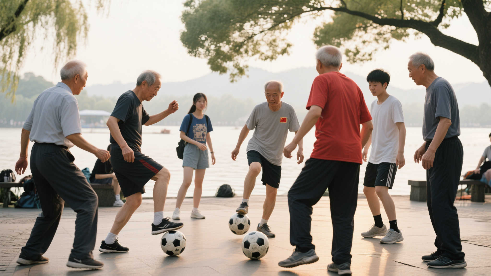 势必将成为 势必将成为